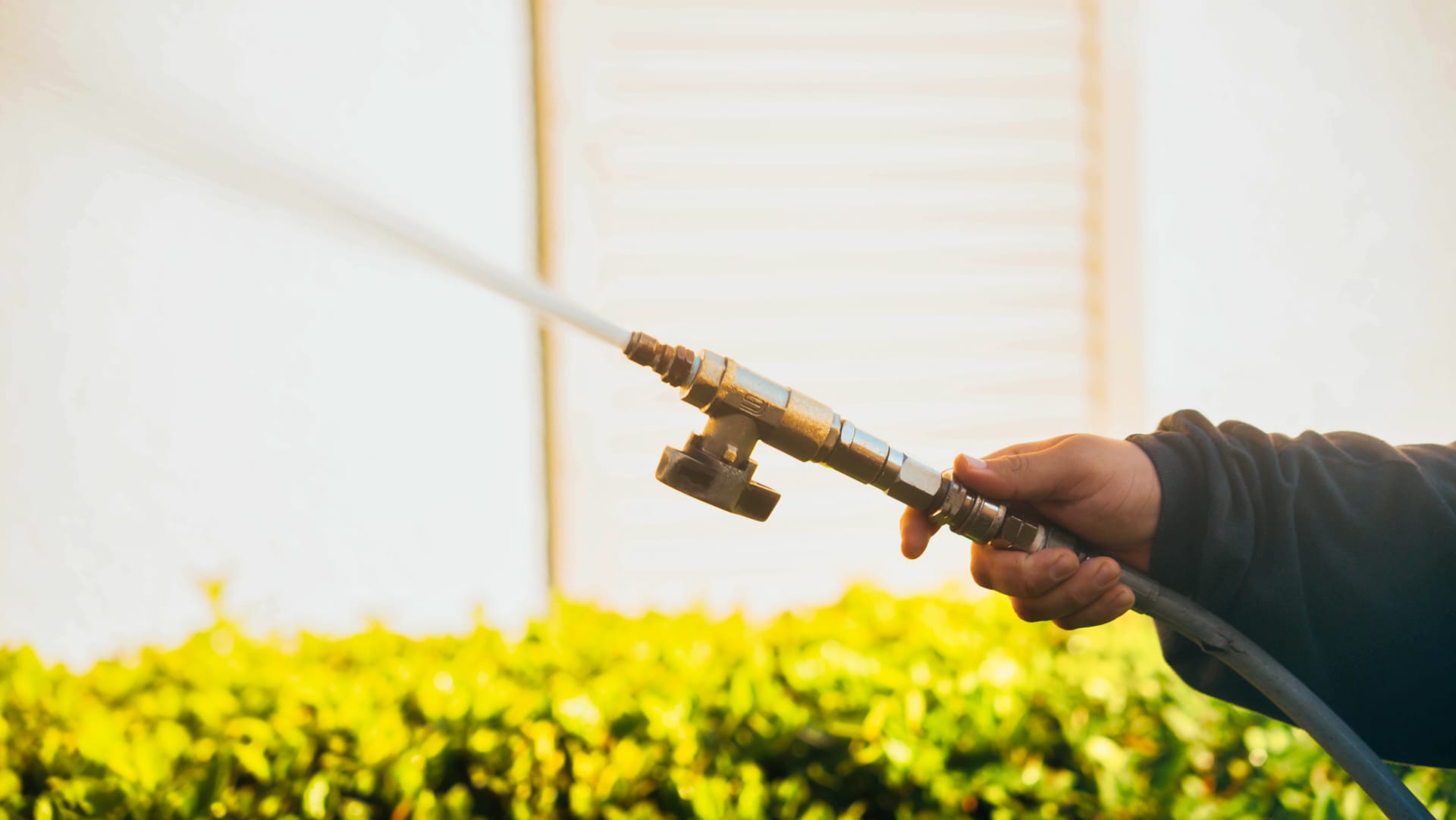 Professional pressure washing a home exterior in Naples, FL to prevent mold and structural damage