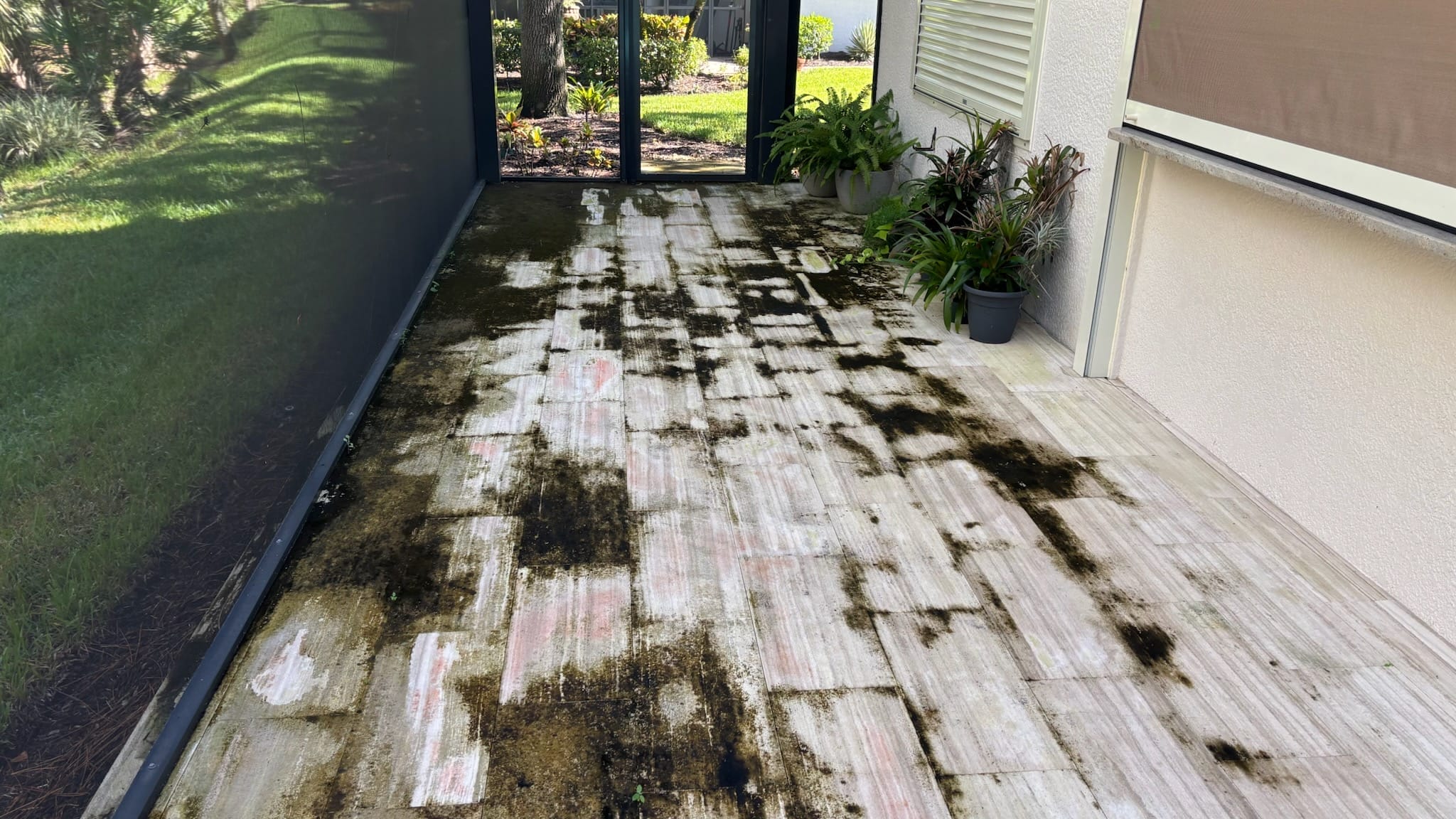 Severely black mold–covered white lanai pavers before expert power washing, showing heavy staining and discoloration in need of deep cleaning, chlorine treatment, and protective sealing to kill mold at the root.